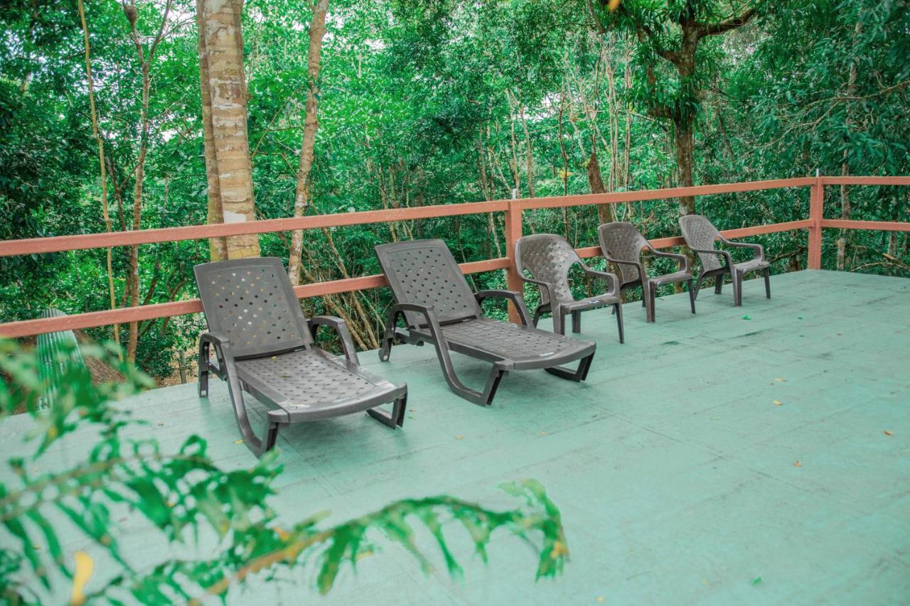 Aguarico Caiman Eco Lodge מראה חיצוני תמונה